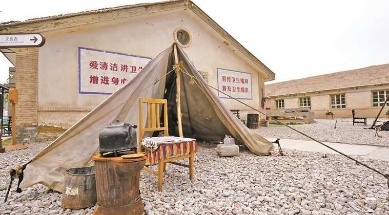 生命树取景地