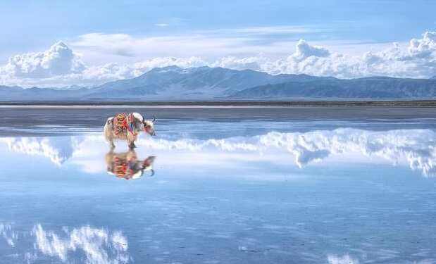 茶卡盐湖